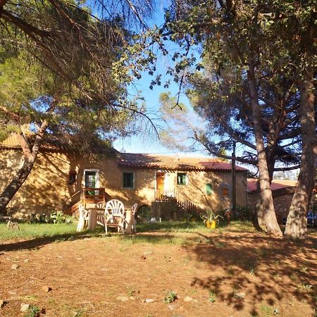Maison Entiere Hameau Monastir Del Camp Passa Exterior foto