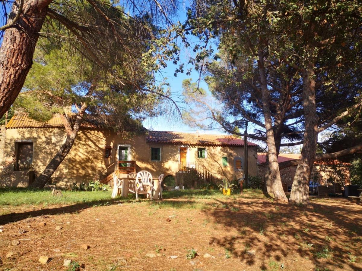 Maison Entiere Hameau Monastir Del Camp Passa Exterior foto